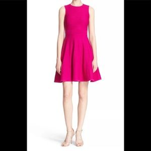 NWT Ted Baker Dress Malou Ottoman Knit and Flare Dress